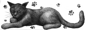Cat Door Frieze